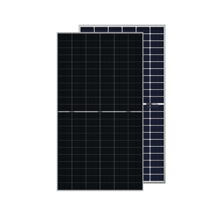 DMEGC 620W BIFACIAL N TYPE